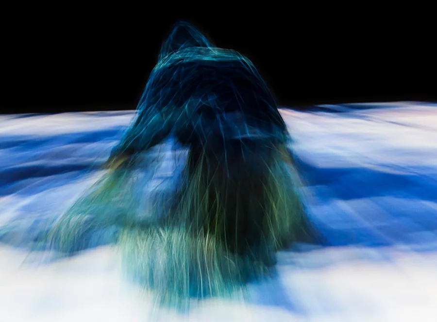 Data dream