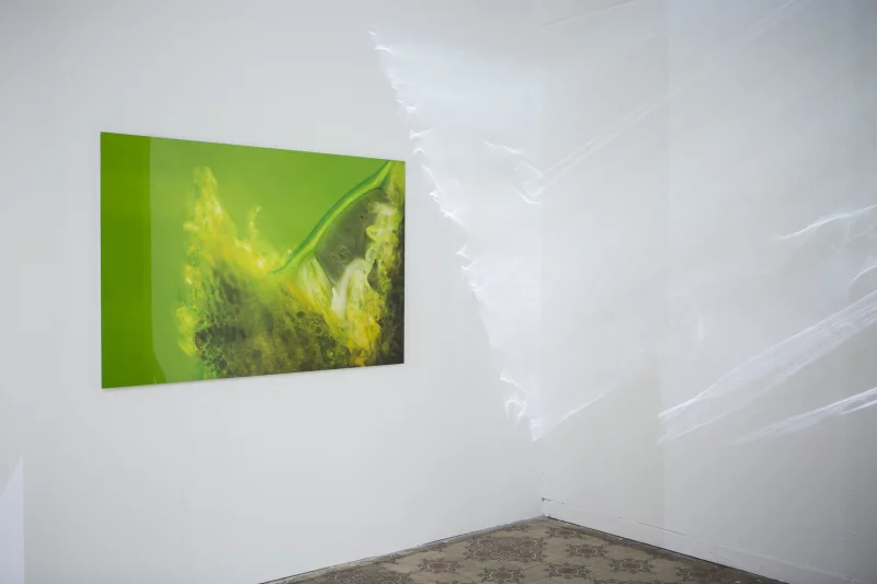 Dispersion