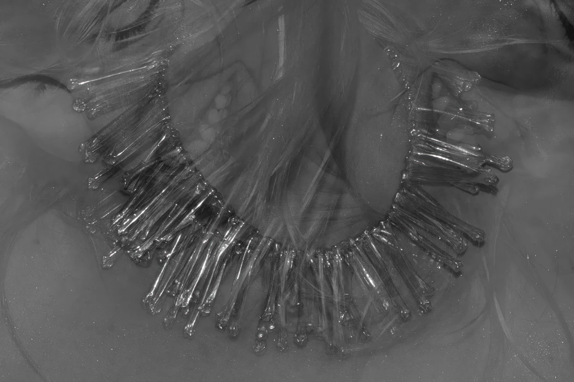especes jewellery